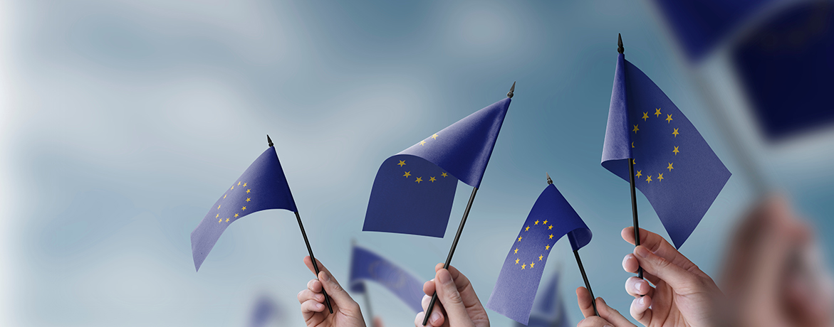 A group of people holding small flags of the European Union in their hands.