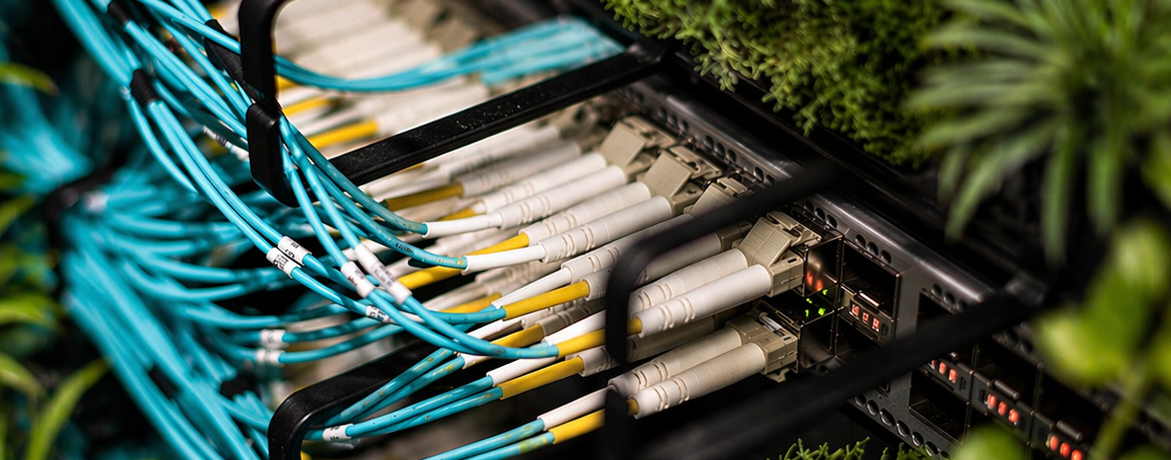 Green IT und Kabelkonfektion