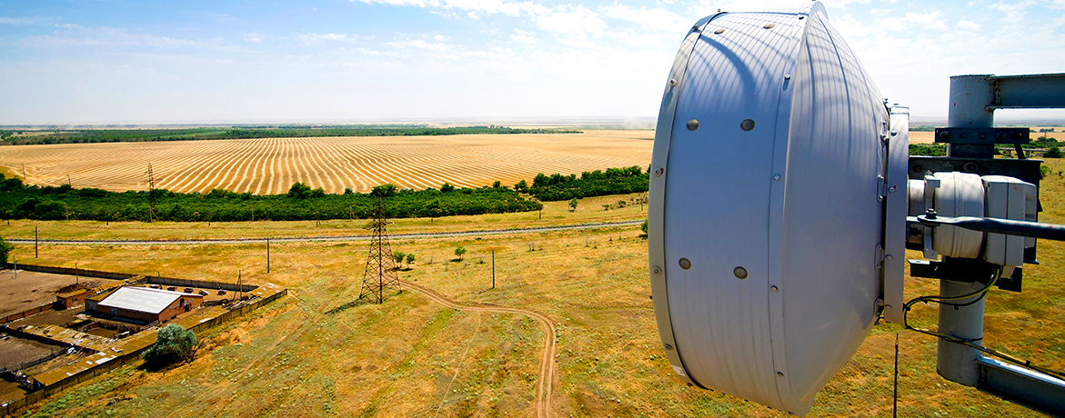 Richtfunkantenne